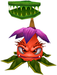 Roy